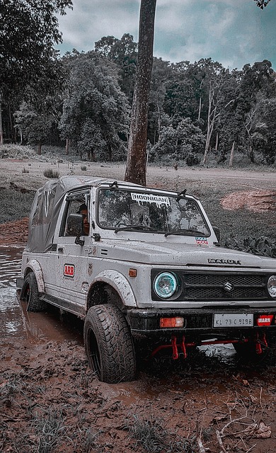 文化输出，巴西选手穿申花球衣参加绝地求生总决赛